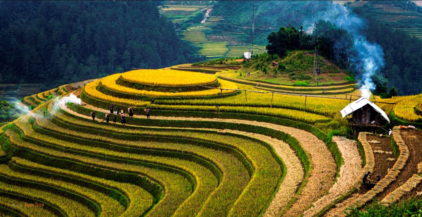 Glimpse of Vietnam                                                                                                                                                                                      