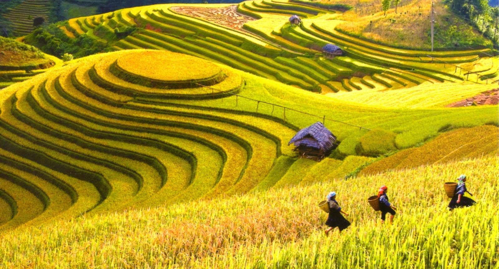 Vietnam Explorer Adventure Tour 