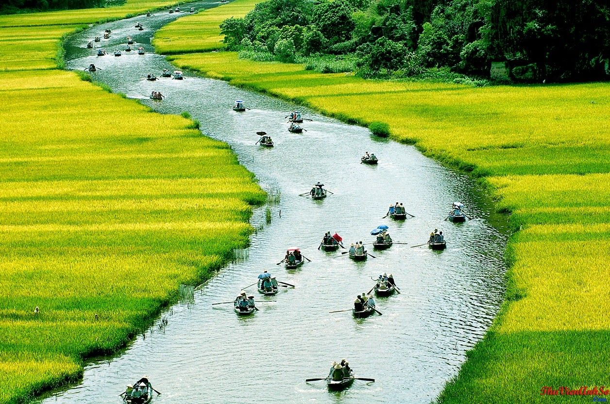 Pathways Through Vietnam 