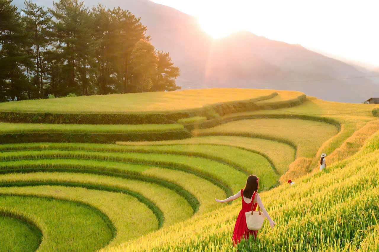 Vietnam Unveiled From Highlands to Coast